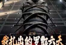 已完结小说《灵异:我扎出的罗酆六天能安顿枉魂》在线章节阅读-红梅文学