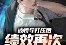 寻找被领导打压后,绩效再次被清零!小说的最新更新章节-红梅文学
