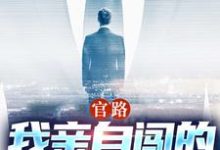 陆一鸣唐晓婉小说《官路:我亲自闯的谁敢拦》在线阅读-红梅文学
