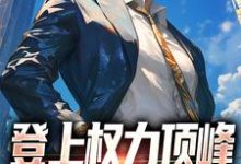 哪里能找到登上权力顶峰,从福利院开始小说的全部章节?-红梅文学