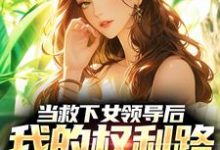 当救下女领导后,我的权利路稳了!小说免费资源,当救下女领导后,我的权利路稳了!在线阅读-红梅文学