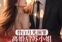 《替白月光顶罪，离婚后苏小姐惊艳全球》完整版小说免费阅读-红梅文学