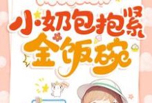 小说《爸爸嫁入豪门,小奶包抱紧金饭碗》章节免费阅读-红梅文学