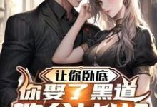 郑川沈璃小说让你卧底,你娶了黑道教父女儿?章节免费阅读-红梅文学
