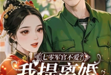 求七零军官不爱?我提离婚他就发癫小说的全文免费阅读链接-红梅文学