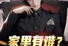 家里有难?我八方支援完整版小说,家里有难?我八方支援免费阅读-红梅文学