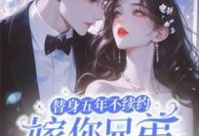 已完结小说《替身五年不续约,嫁你兄弟急什么》章节免费阅读-红梅文学