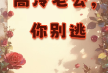 高冷老公,你别逃展新颜江砚初,高冷老公,你别逃小说免费阅读-红梅文学