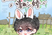 《诱欲!小美人成了糙汉大佬掌心娇》小说免费阅读完整版-红梅文学