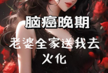 脑癌晚期,老婆全家送我去火化小说阅读,脑癌晚期,老婆全家送我去火化完结版-红梅文学