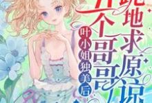 完整版小说《叶小姐独美后,五个哥哥跪地求原谅》免费阅读-红梅文学