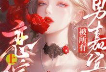迟漾江昱琛小说免费阅读完整版-红梅文学