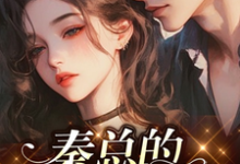 完整版的秦总的心尖人儿小说在哪里可以免费读到?-红梅文学
