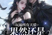 已完结小说《玩遍所有天骄,果然还是二爷比较香》章节在线阅读-红梅文学