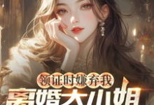领证时嫌弃我,离婚大小姐哭什么小说全文哪里可以免费看?-红梅文学