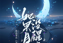 如果月亮没醒来完整版小说，如果月亮没醒来杜小昭林之宇-红梅文学