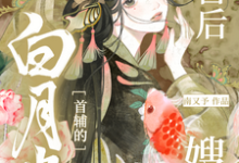 《冲喜后,我成了白月光首辅的嫂嫂》完整版小说免费阅读-红梅文学