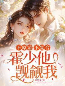小说《不原谅，不复合，霍少他觊觎我》完整版章节免费阅读