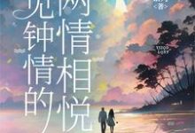 完整版小说《一见钟情的两情相悦》免费阅读-红梅文学