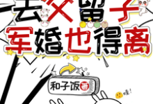穿七零去父留子,军婚也得离小说阅读,穿七零去父留子,军婚也得离完结版-红梅文学