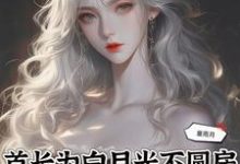 首长为白月光不圆房,重生不嫁了小说有没有完结版在线?-红梅文学