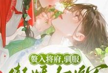 赘入将府,驯服傲娇女将军韩妤齐砚清在线章节免费阅读-红梅文学