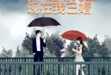 对不起,傅先生我现在已婚小说的无弹窗阅读体验,寻找免费阅读网站-红梅文学