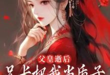 父皇逝后,兄长把我当质子送去敌国完整版小说,父皇逝后,兄长把我当质子送去敌国免费阅读-红梅文学