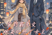 穿到霸总文:炮灰对照了女主小说无弹窗阅读的网站推荐-红梅文学