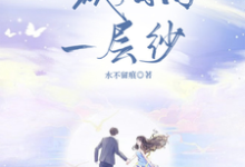 小说《一城烟雨一层纱》章节免费阅读-红梅文学