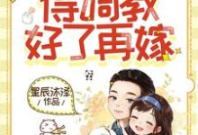 重活一世还是他,得调教好了再嫁这本小说怎么样?免费在线阅读试试-红梅文学