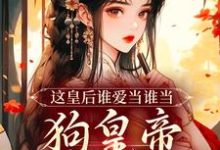 这皇后谁爱当谁当,狗皇帝我不要了这本小说怎么样?免费在线阅读试试-红梅文学
