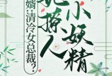 寻找能够免费阅读赘婿:清冷女总裁?她撩人小妖精小说的平台-红梅文学