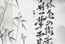 说好一辈子兄弟,你怎么偷亲我宁渊贺凛,说好一辈子兄弟,你怎么偷亲我在线无弹窗阅读-红梅文学