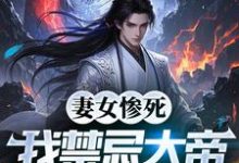 妻女惨死,我禁忌大帝归来屠国!林玄小说免费阅读-红梅文学