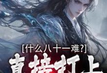 哪吒孙悟空小说什么八十一难?直接打上凌霄宝殿在线阅读章节-红梅文学