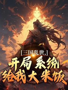 陆川小说完结版在线阅读，三国乱世，开局系统给我大米饭免费看