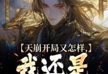 李佑小说完结版在线阅读,天崩开局又怎样,我还是大唐的王免费看-红梅文学