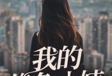 完整版《我的绝色小姨》小说免费阅读-红梅文学