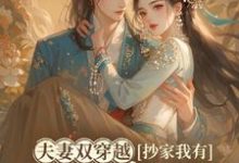 《夫妻双穿越,抄家我有位面金手指》木婉清华睿渊完整版小说免费阅读-红梅文学