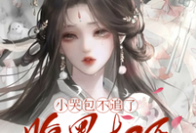 免费在线阅读小哭包不追了,腹黑权臣悔断肠小说的正规网站有哪些?-红梅文学