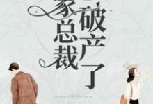 我家总裁破产了小说有没有完结版在线?-红梅文学