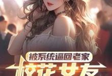 完整版《被系统逼回老家,校花女友追来了》小说免费阅读-红梅文学