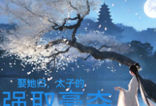 小说完整版《娶她归,太子的强取豪夺》免费阅读-红梅文学