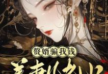 小说《赘婿骗我钱养妻儿老小,弄死!》完整版章节免费阅读-红梅文学