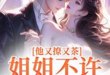 《他又撩又茶!姐姐不许看别人哦》小说免费阅读完整版-红梅文学