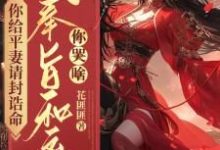 你给平妻请封诰命,我奉旨和离你哭啥?小说的免费电子版在哪里可以下载或阅读?-红梅文学