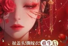 扯盖头!撕嫁衣!重生后她不忍了免费阅读,扯盖头!撕嫁衣!重生后她不忍了章节目录-红梅文学
