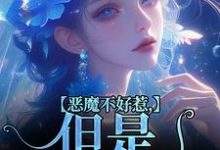 成骁启昭完整版小说免费阅读-红梅文学