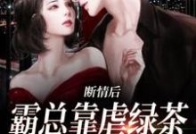陆星悦厉寒湛小说免费阅读完整版-红梅文学